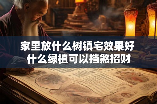 家里放什么树镇宅效果好 什么绿植可以挡煞招财