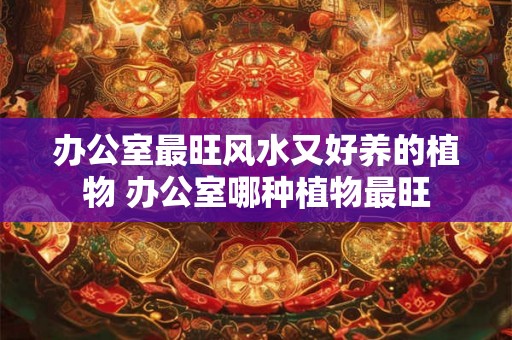 办公室最旺风水又好养的植物 办公室哪种植物最旺 办公室最旺风水又好养的植物 办公室哪种植物最旺