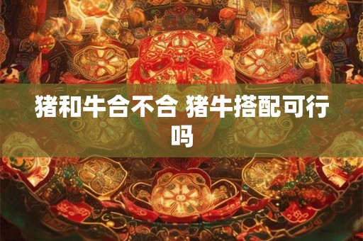 猪和牛合不合 猪牛搭配可行吗