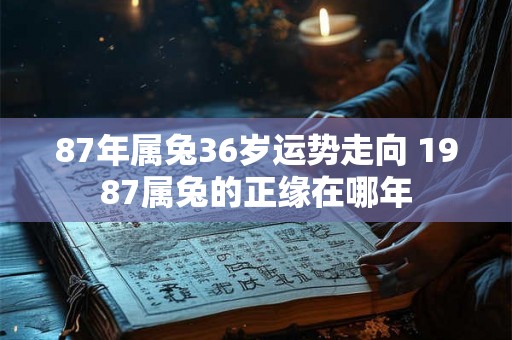 87年属兔36岁运势走向 1987属兔的正缘在哪年
