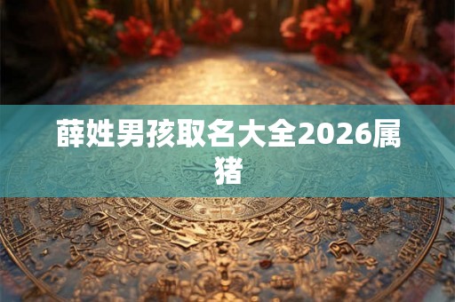 薛姓男孩取名大全2026属猪