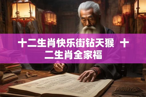 十二生肖快乐街钻天猴  十二生肖全家福