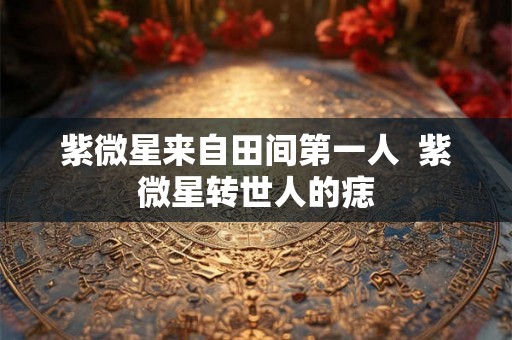 紫微星来自田间第一人  紫微星转世人的痣