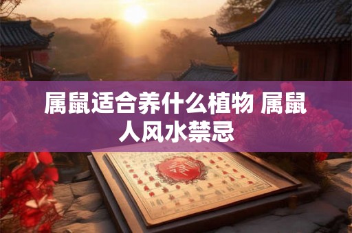 属鼠适合养什么植物 属鼠人风水禁忌 属鼠适合养什么植物 属鼠人风水禁忌