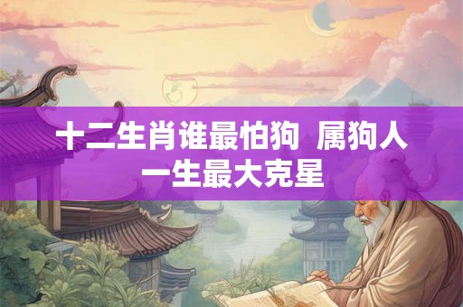 十二生肖谁最怕狗  属狗人一生最大克星