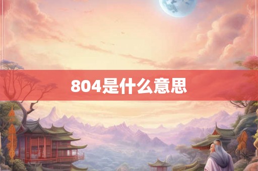 804是什么意思