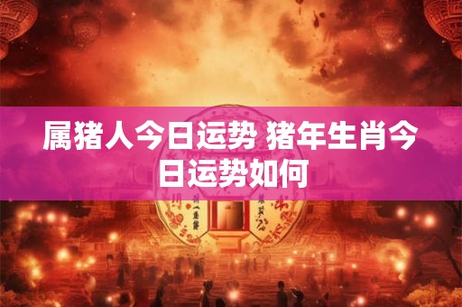属猪人今日运势 猪年生肖今日运势如何