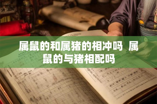 属鼠的和属猪的相冲吗 属鼠的与猪相配吗 属鼠的和属猪的相冲吗 属鼠的与猪相配吗