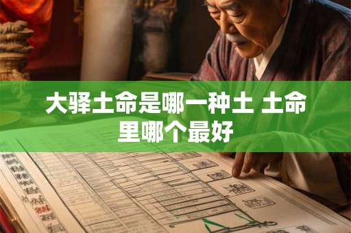 大驿土命是哪一种土 土命里哪个最好 大驿土命是哪一种土 土命里哪个最好