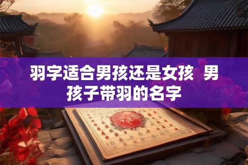 羽字适合男孩还是女孩  男孩子带羽的名字