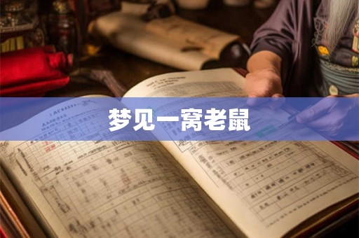 梦见一窝老鼠