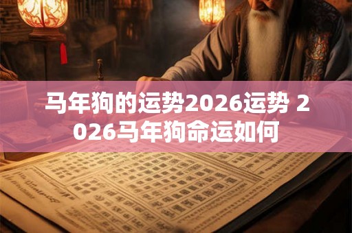 马年狗的运势2026运势 2026马年狗命运如何 马年狗的运势2026运势 2026马年狗命运如何