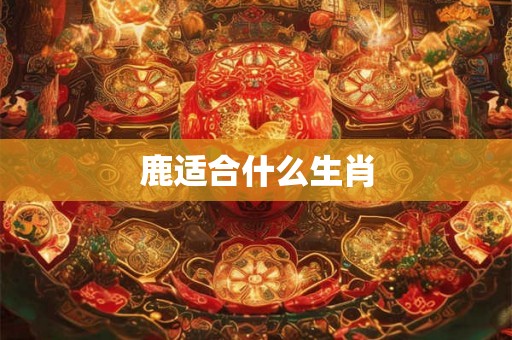 鹿适合什么生肖