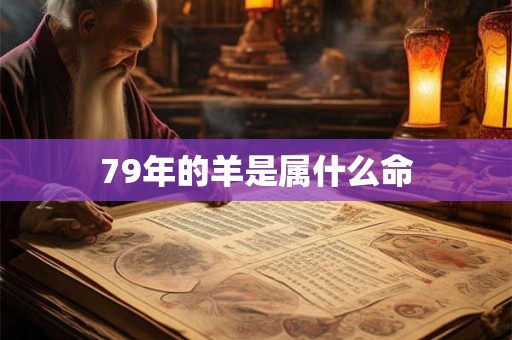79年的羊是属什么命