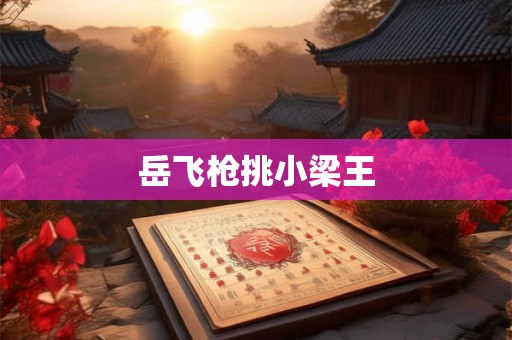 岳飞枪挑小梁王