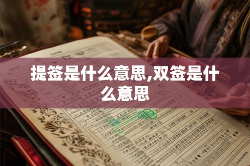 提签是什么意思,双签是什么意思