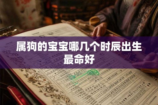 属狗的宝宝哪几个时辰出生最命好