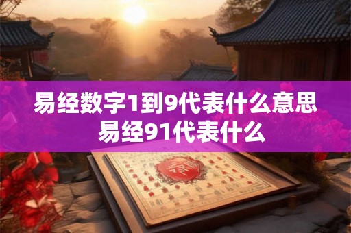 易经数字1到9代表什么意思 易经91代表什么 易经数字1到9代表什么意思 易经91代表什么
