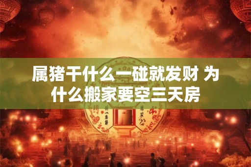 属猪干什么一碰就发财 为什么搬家要空三天房