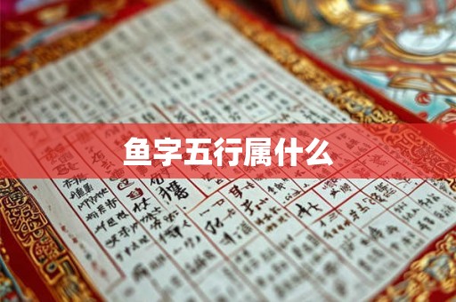 鱼字五行属什么 鱼字五行属什么