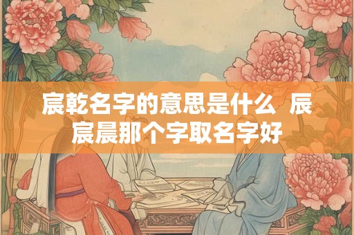 宸乾名字的意思是什么  辰宸晨那个字取名字好