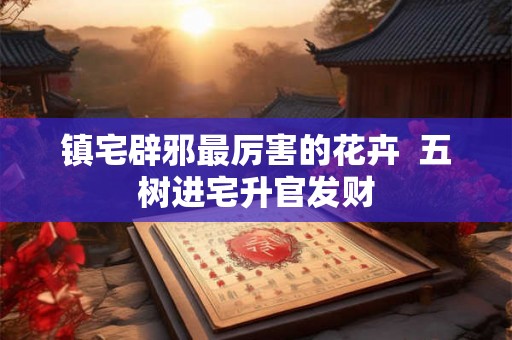 镇宅辟邪最厉害的花卉  五树进宅升官发财