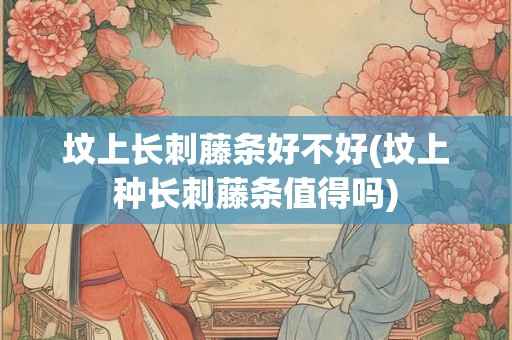 坟上长刺藤条好不好(坟上种长刺藤条值得吗)