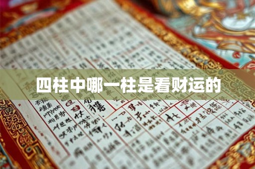 四柱中哪一柱是看财运的