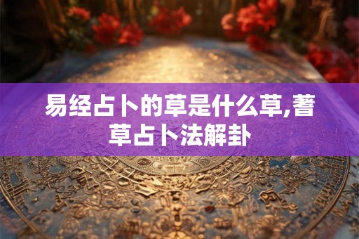 易经占卜的草是什么草,蓍草占卜法解卦 易经占卜的草是什么草,蓍草占卜法解卦