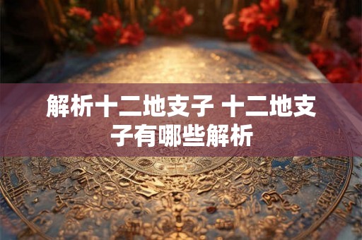 解析十二地支子 十二地支子有哪些解析