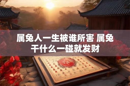 属兔人一生被谁所害 属兔干什么一碰就发财