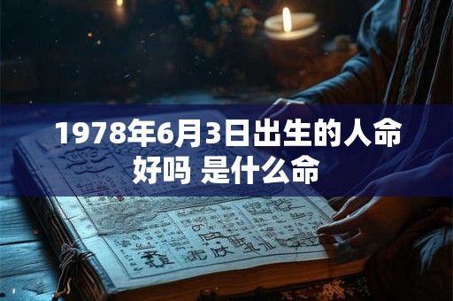 1978年6月3日出生的人命好吗 是什么命