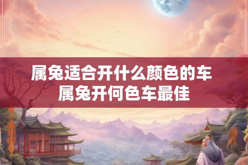 属兔适合开什么颜色的车 属兔开何色车最佳