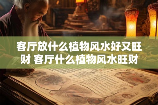 客厅放什么植物风水好又旺财 客厅什么植物风水旺财