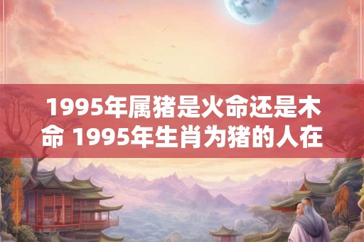 1995年属猪是火命还是木命 1995年生肖为猪的人在五行命理中属于火命还是木命
