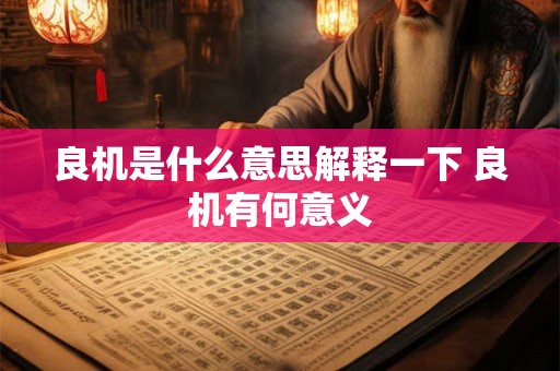 良机是什么意思解释一下 良机有何意义