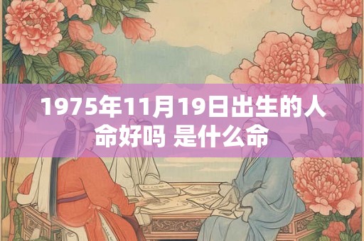 1975年11月19日出生的人命好吗 是什么命