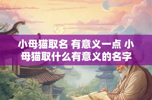小母猫取名 有意义一点 小母猫取什么有意义的名字