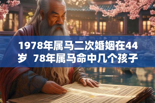 1978年属马二次婚姻在44岁  78年属马命中几个孩子