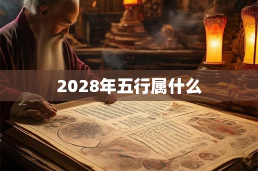 2028年五行属什么