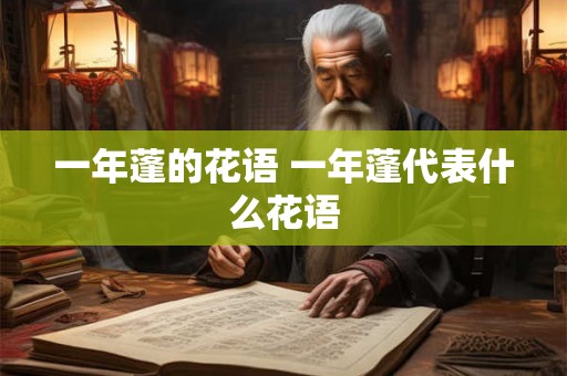 一年蓬的花语 一年蓬代表什么花语 一年蓬的花语 一年蓬代表什么花语
