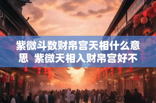 紫微斗数财帛宫天相什么意思 紫微天相入财帛宫好不好 紫微斗数财帛宫天相什么意思 紫微天相入财帛宫好不好