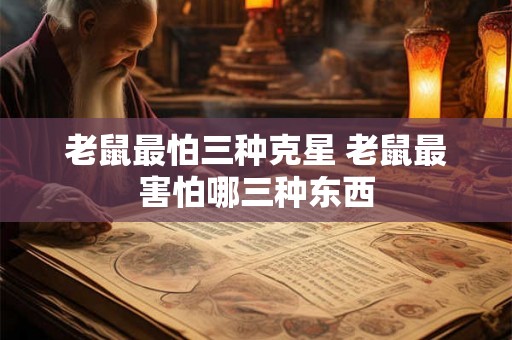 老鼠最怕三种克星 老鼠最害怕哪三种东西