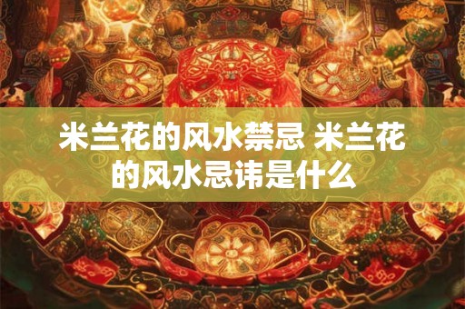 米兰花的风水禁忌 米兰花的风水忌讳是什么