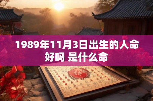 1989年11月3日出生的人命好吗 是什么命