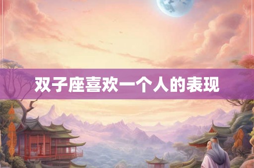 双子座喜欢一个人的表现
