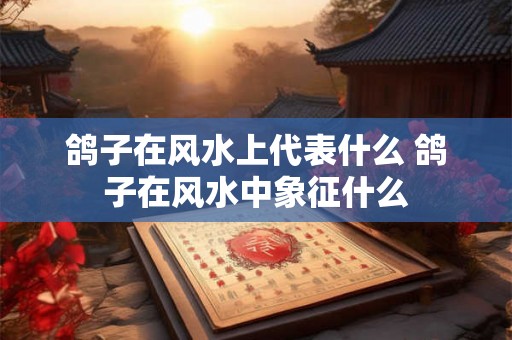鸽子在风水上代表什么 鸽子在风水中象征什么 鸽子在风水上代表什么 鸽子在风水中象征什么