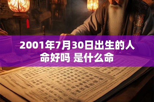2001年7月30日出生的人命好吗 是什么命