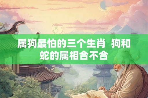 属狗最怕的三个生肖  狗和蛇的属相合不合