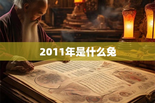 2011年是什么兔